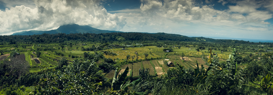 rizière vers Tirtagangga Bali