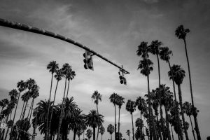 Santa Barbara palmiers Californie hollywood Death valley vallée de la mort Las Vegas Los Angeles San Francisco blog carnet de voyage route
